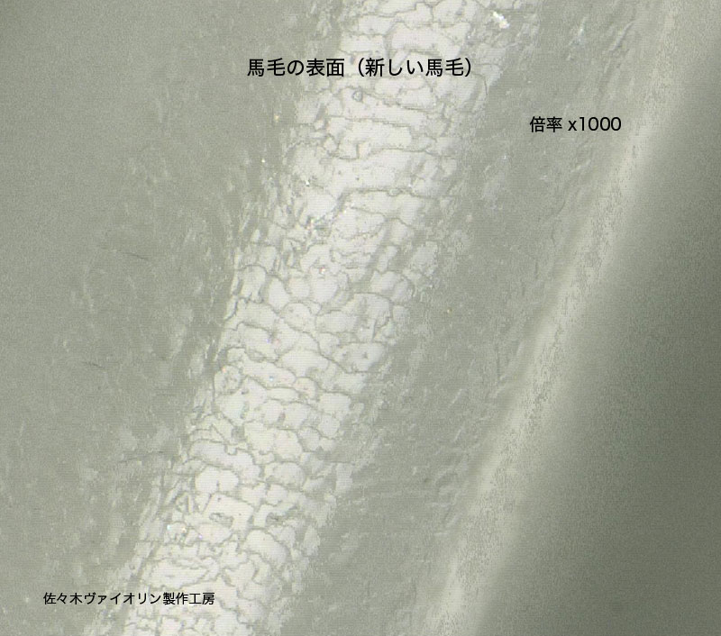 新しい馬毛の表面